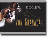 www.boxer-von-granada.eu